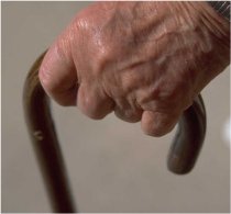 walkingstick.jpg